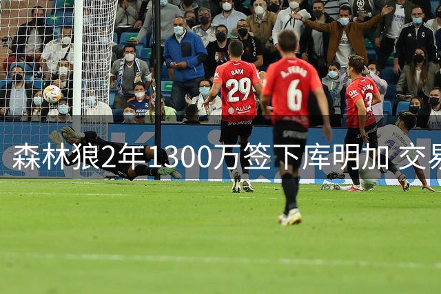 森林狼2年1300万签下库明加 交易否决权引热议