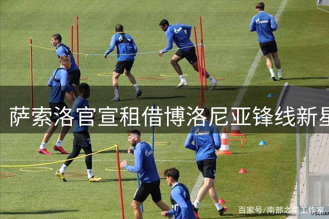 萨索洛官宣租借博洛尼亚锋线新星多明戈斯